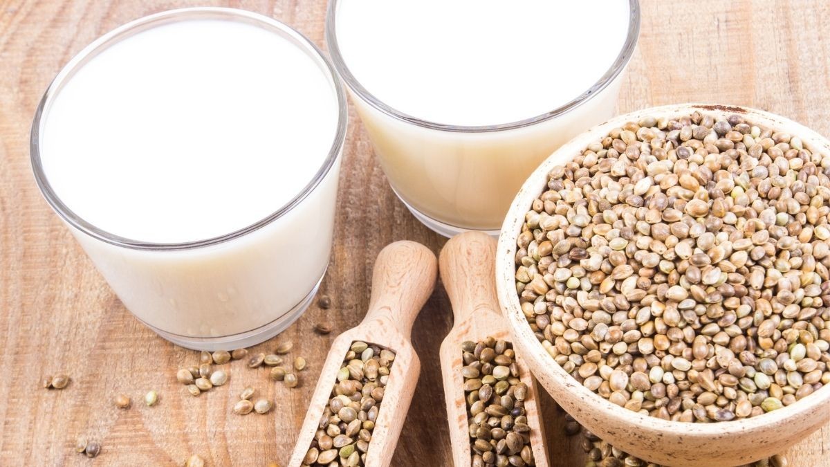 4 Manfaat Mengonsumsi Susu Biji Hemp (Hemp Milk) - KlikDokter
