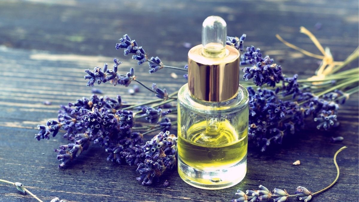 Beragam Manfaat Lavender Oil untuk Kulit - KlikDokter
