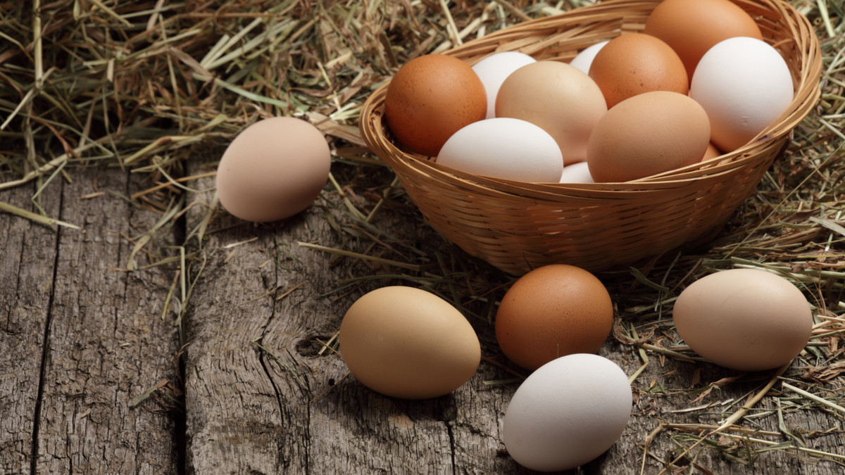 Perbedaan Jenis Telur Ayam yang Perlu Diketahui dan Manfaatnya - KlikDokter