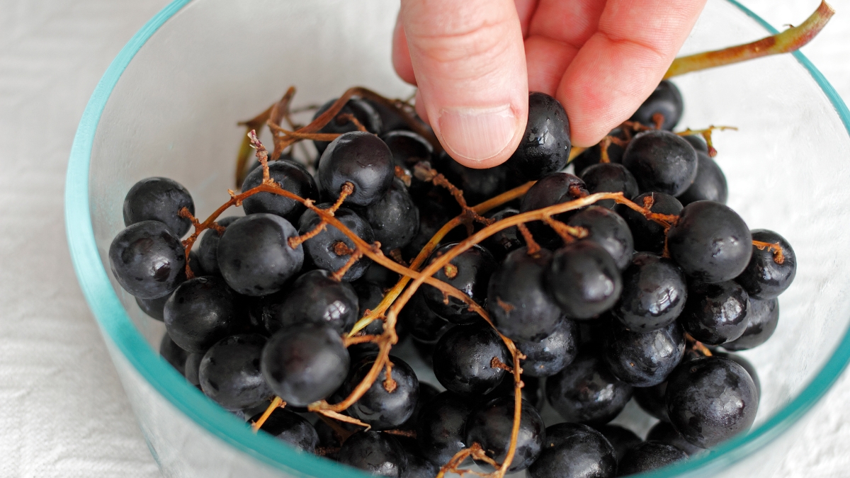 Manfaat Buah Anggur Hitam untuk Kesehatanmu - KlikDokter