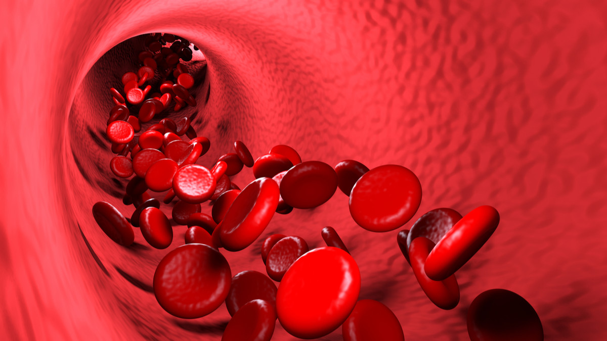 8 Cara Meningkatkan Sirkulasi Darah Tubuh - KlikDokter