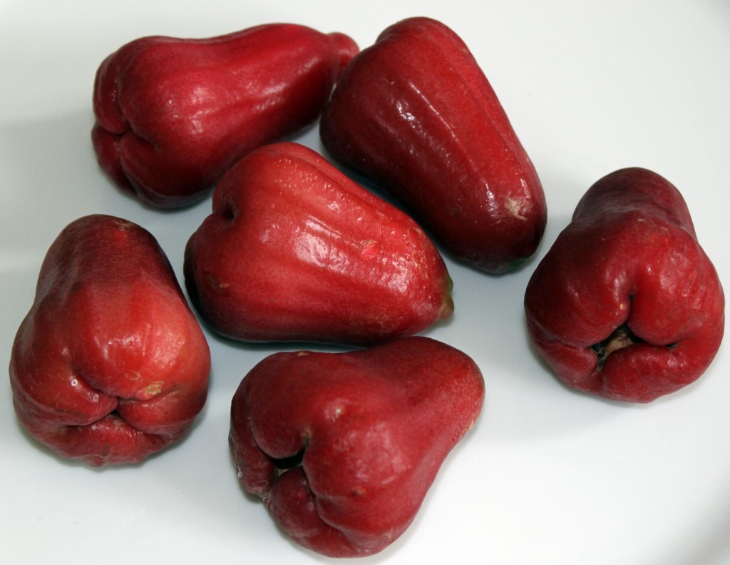 Manfaat Jambu Air untuk Kesehatan Tubuh - KlikDokter